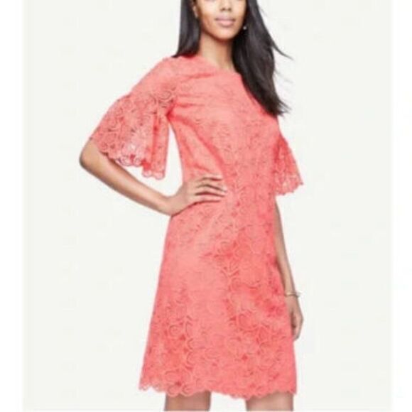Ann Taylor Dresses & Skirts - New ANN TAYLOR | Red Coral Lace‎ Flare Short Sleeve Shift Dress Womens Si…